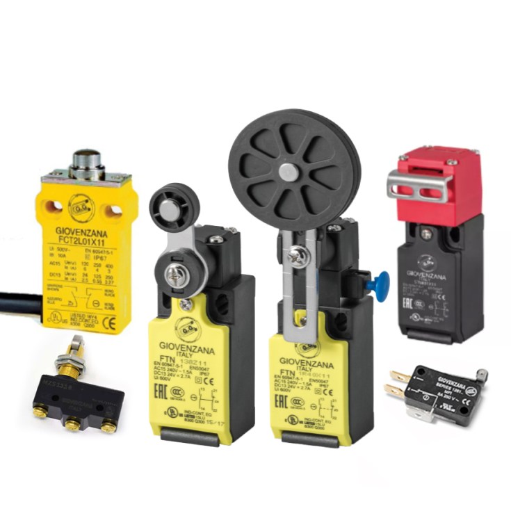 kategorie_koncove_spinace_mikrospinace